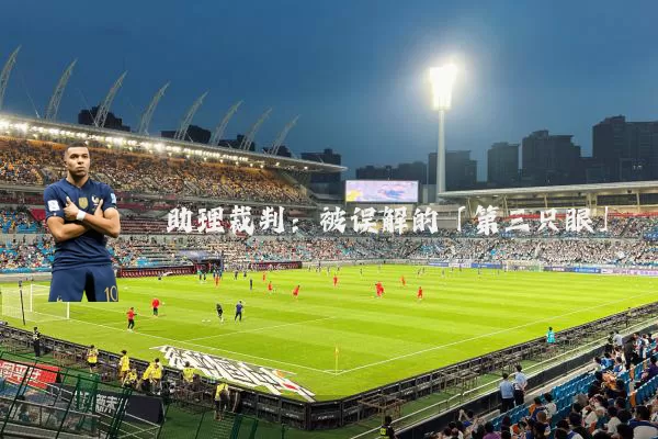 助理裁判:被误解的「第三只眼」